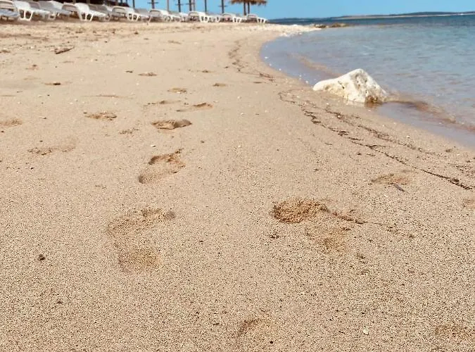 Evelina アパート *